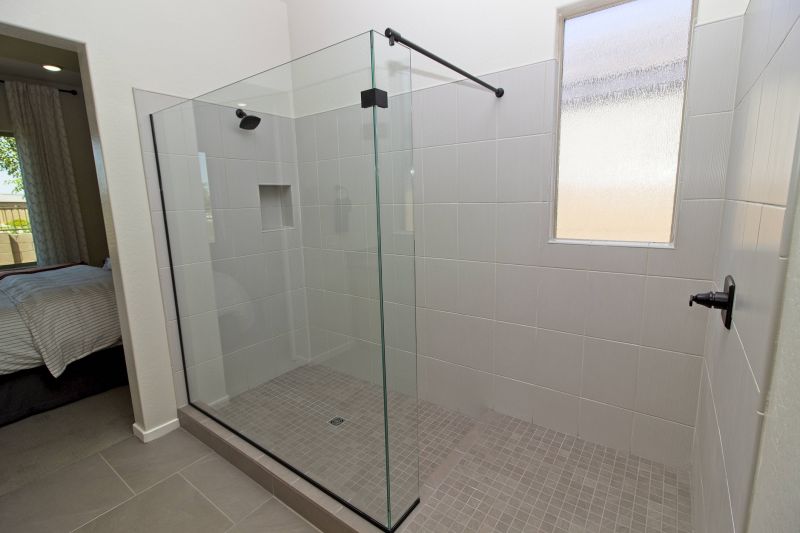 Walk-In Shower Concepts